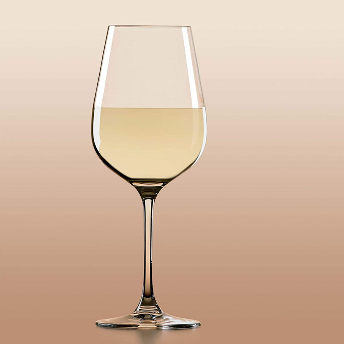 Lenox L825839-000 Tuscany Classics Pinot Grigio Wine Glass Set, Clear